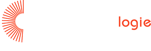 Portail Epidemiologique - France. Retour à la page d'accueil.